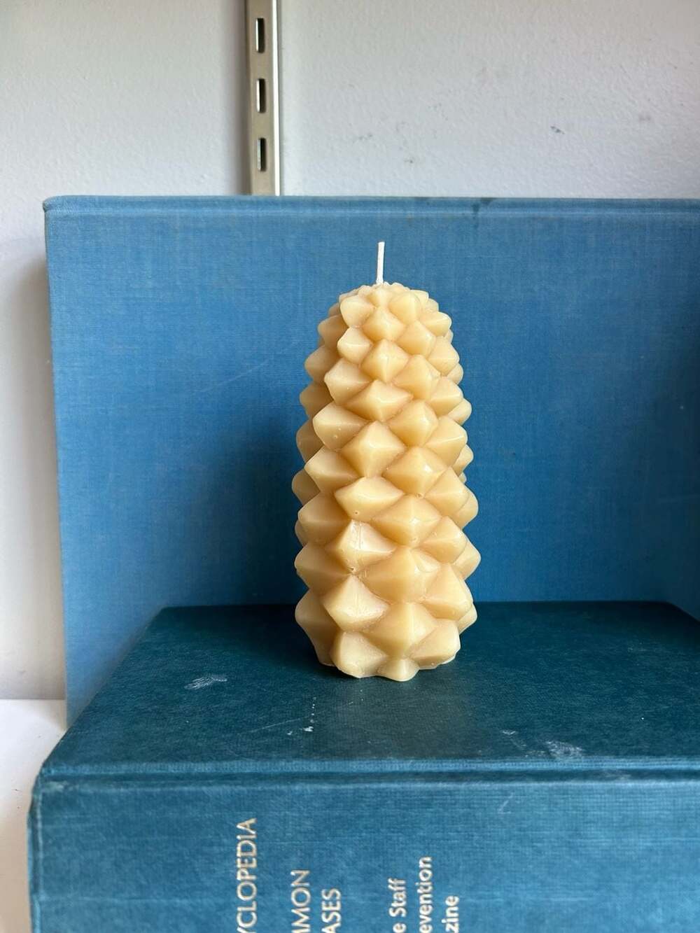 Big Dipper Wax Works 100% Pure Beeswax Pinecone-L Candle
